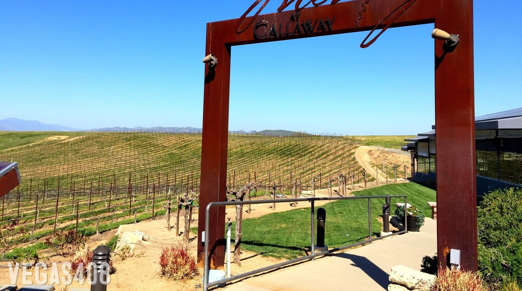 Meritage At Callaway Vineyard - Temecula, CA (03/2015)