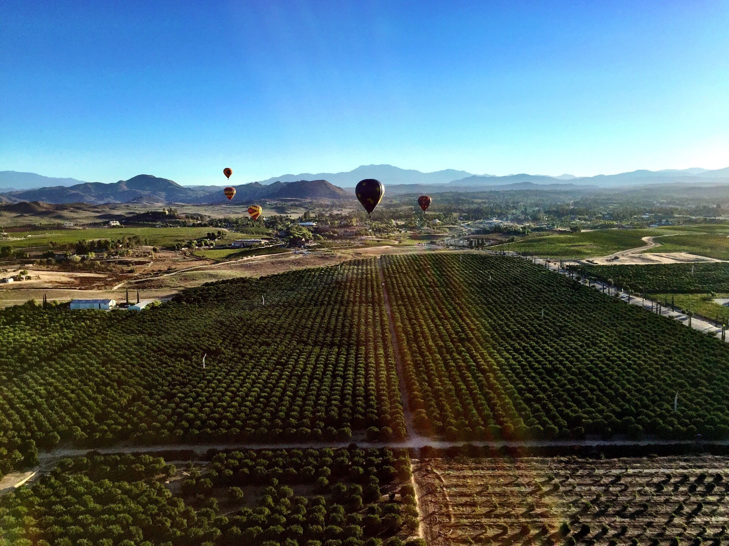 It's hard to beat hot-air ballooning over San Diego's wine country in Temecula.

#lifeatexpedia
#weloveourmarkets
#AMER
#California
#wine