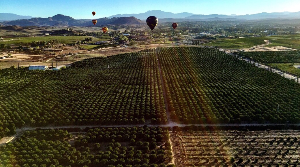 It's hard to beat hot-air ballooning over San Diego's wine country in Temecula.
#lifeatexpedia
#weloveourmarkets
#AMER
#California
#wine