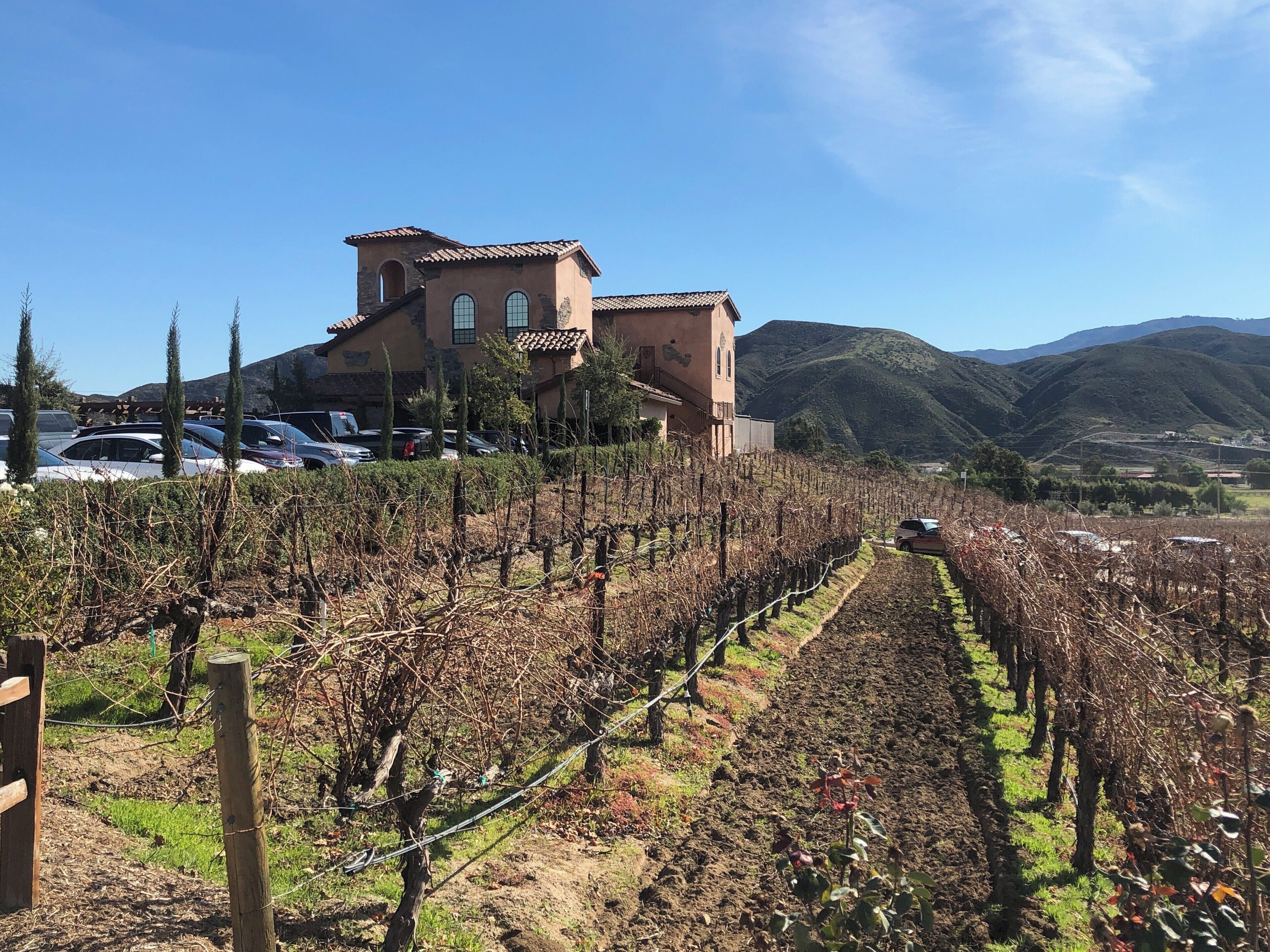 Tasting Day at Robert Renzoni Vineyards (01/2020)