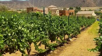 One of the many winery's in Temecula California.