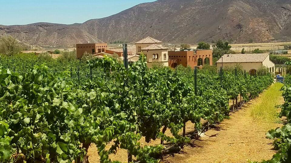 One of the many winery's in Temecula California.