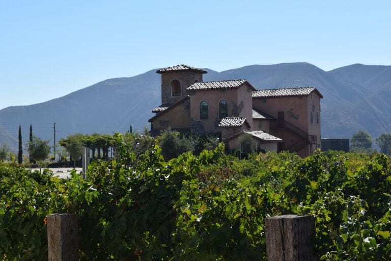 We loved the Tuscan feel of the wineries in Temecula, California.