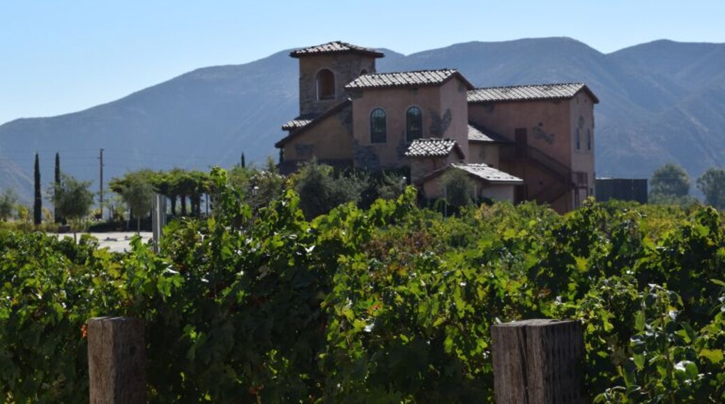 We loved the Tuscan feel of the wineries in Temecula, California.