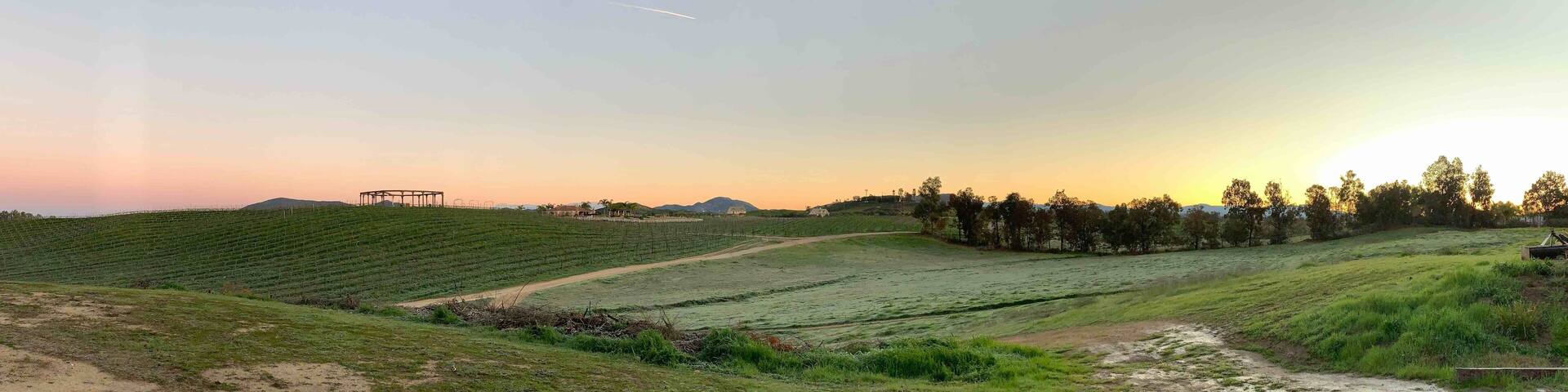 Little gem on Air BnB, great area for cycling and vineyards