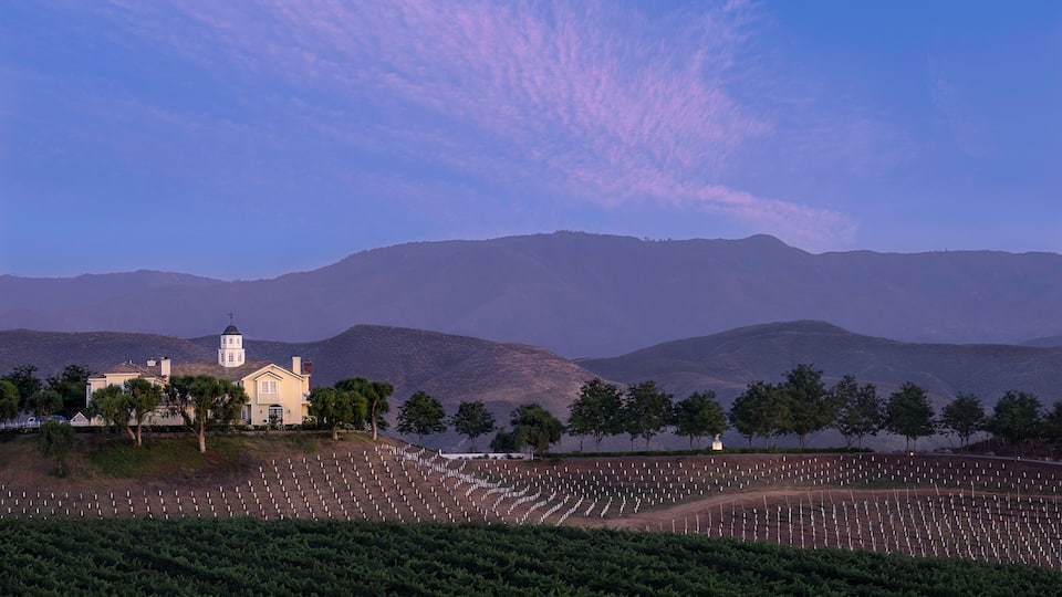 Temecula Wine Country
