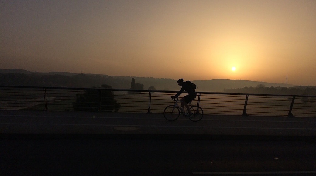 Good Morning Dresden