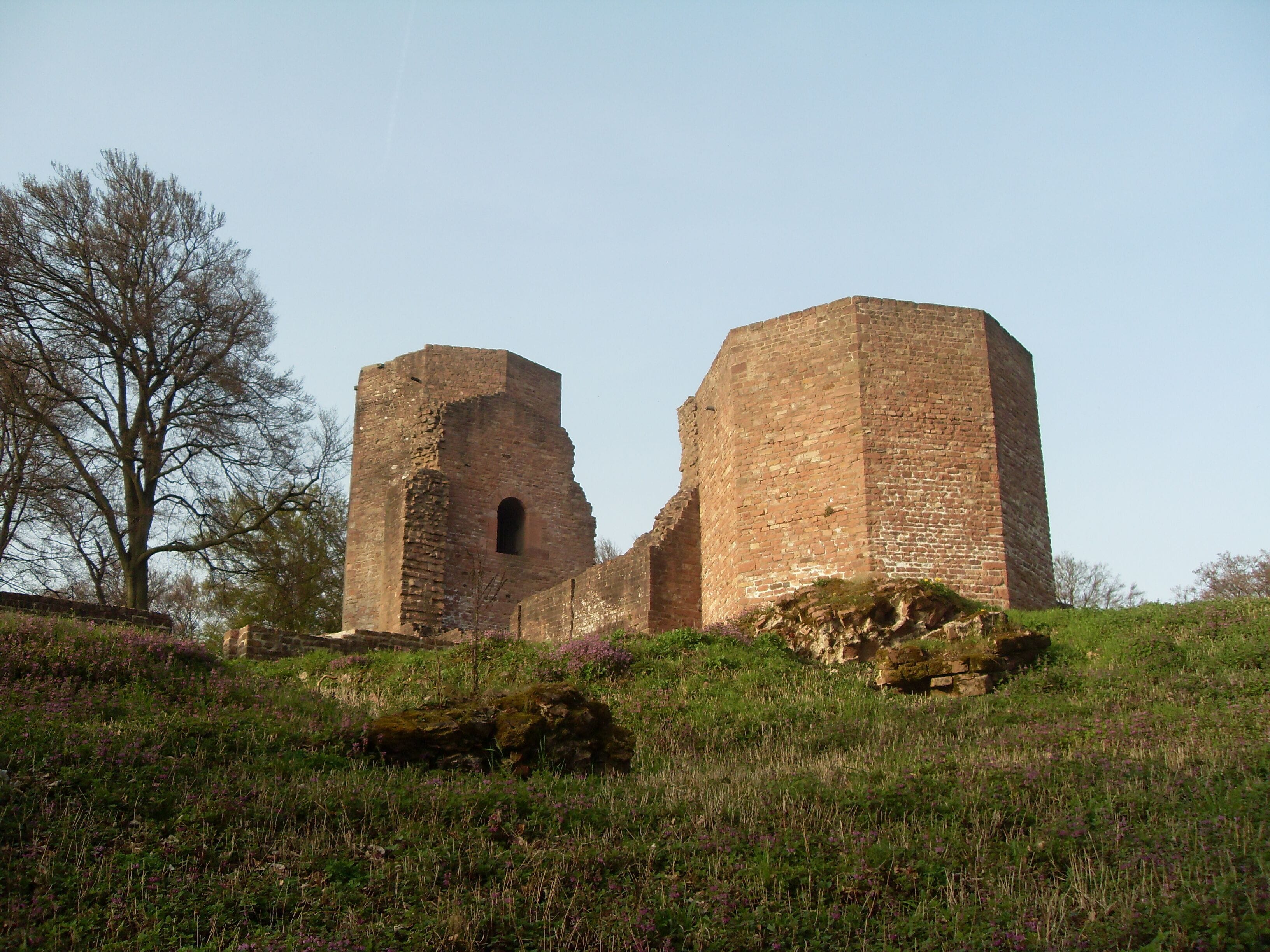 Michaelskloster (Heidelberg)