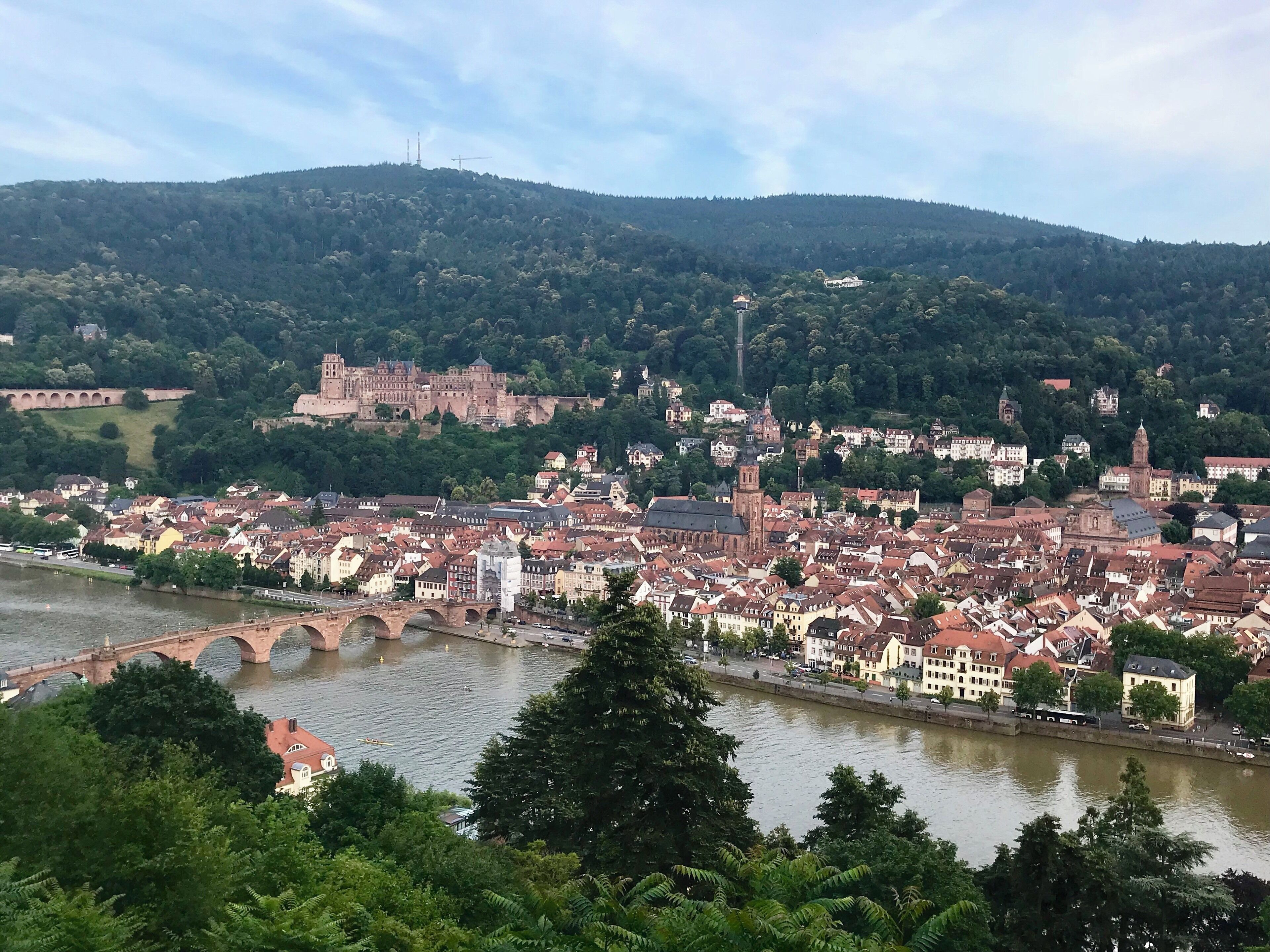 Wonderful views of the beautiful city of Heidelberg & the Neckar river last summer. This was along the Philosopher’s walk which is about 2 km long.