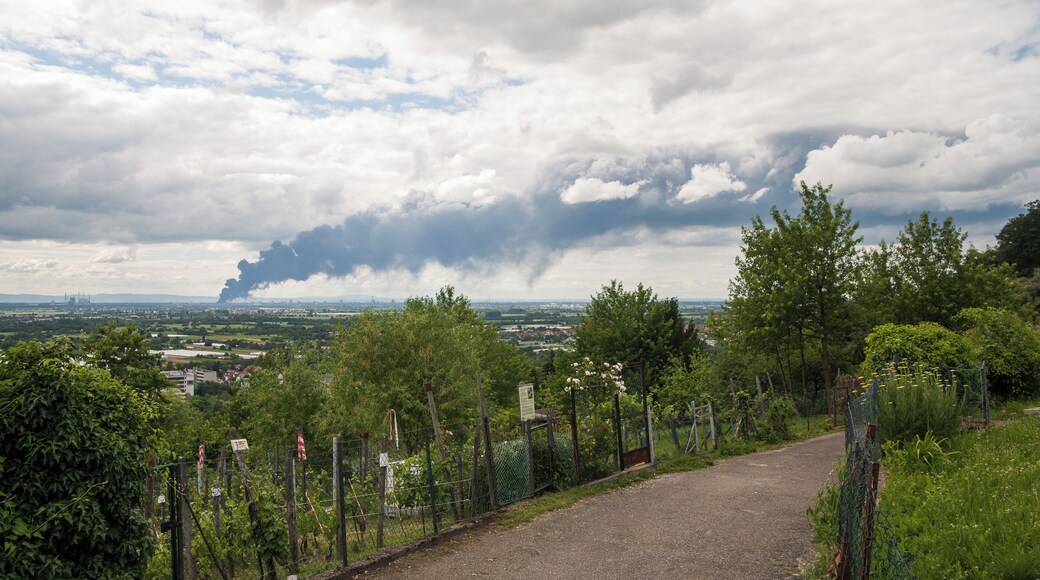 Grossbrand-Ludwigshafen-018