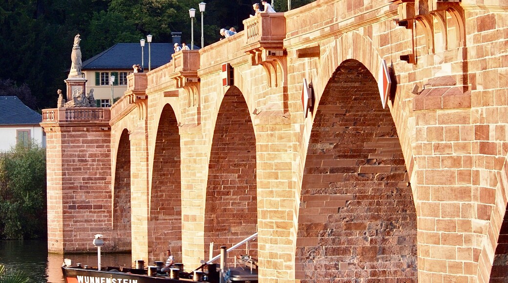 Alte BrĂŒcke, Heidelberg, Germany.