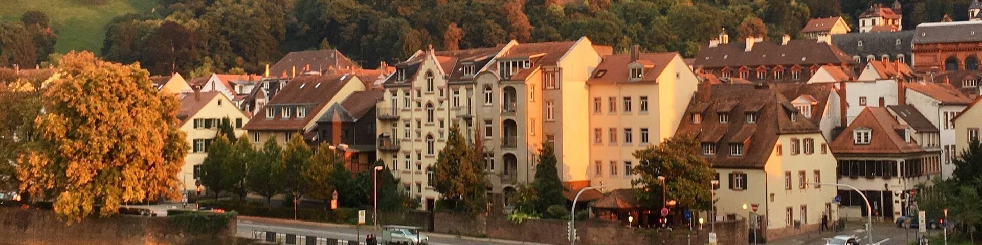 Heidelberg Schloss from the old bridge.