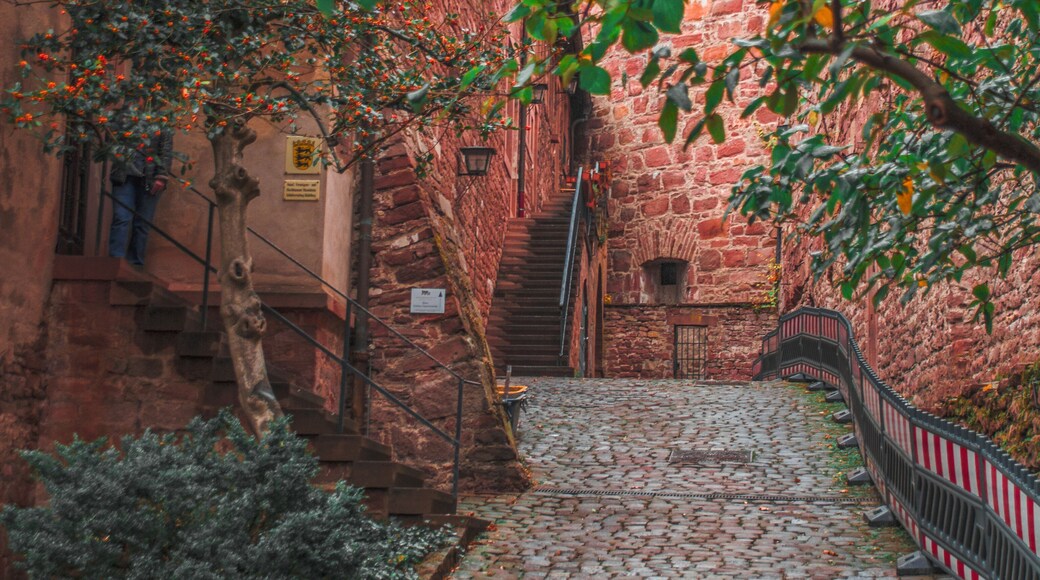 Inside the Heidelberg castle.