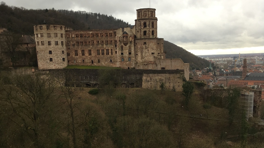 Heidelberg Palace