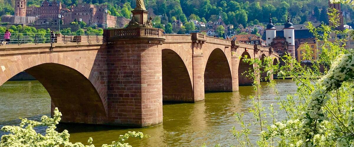 Old Bridge over river Neckar and the Castle of Heidelberg
#springfun