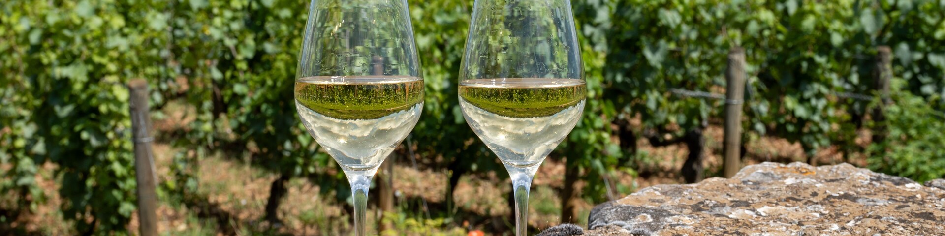 Duas taças de vinho sobre uma superfície rochosa, com um vinhedo ao fundo.