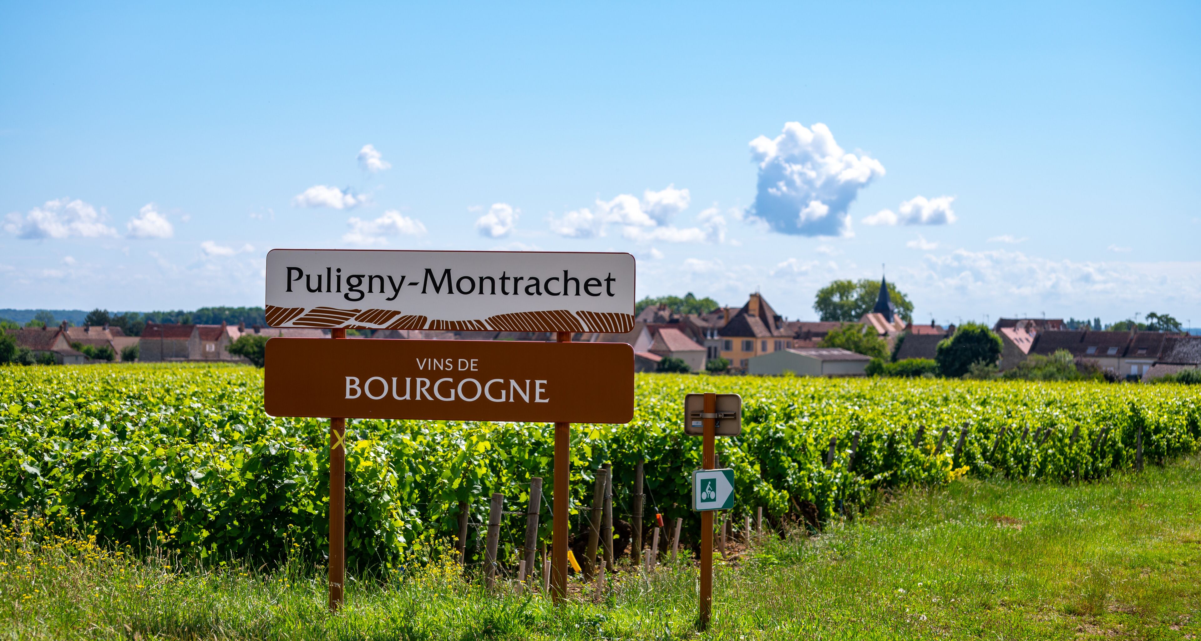Puligny-Montrachet