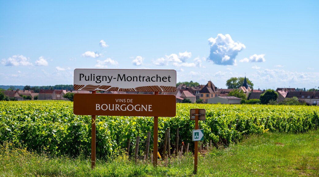 Puligny-Montrachet