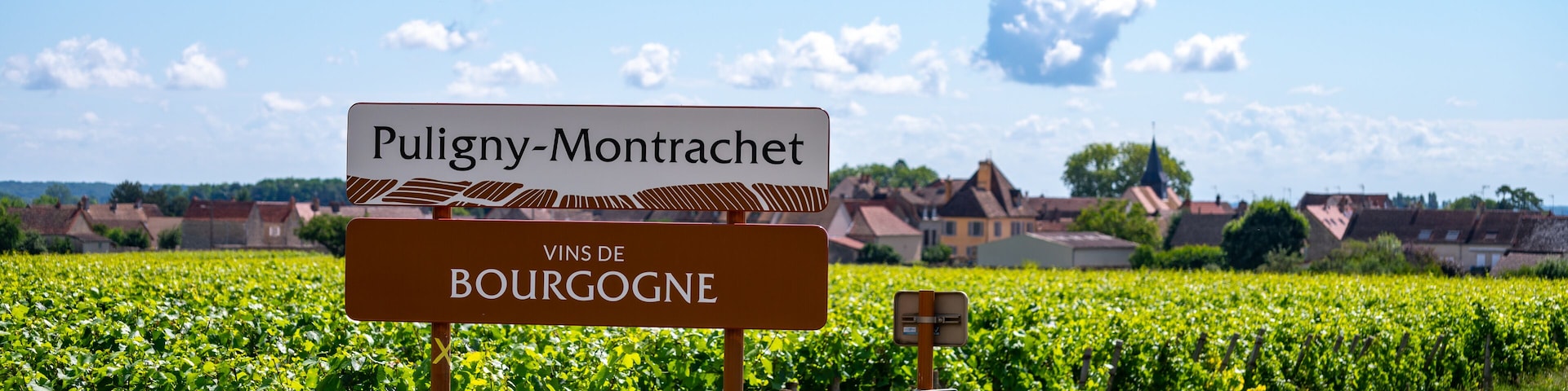 Viñedo con un cartel que dice "Puligny-Montrachet Vins de Bourgogne".