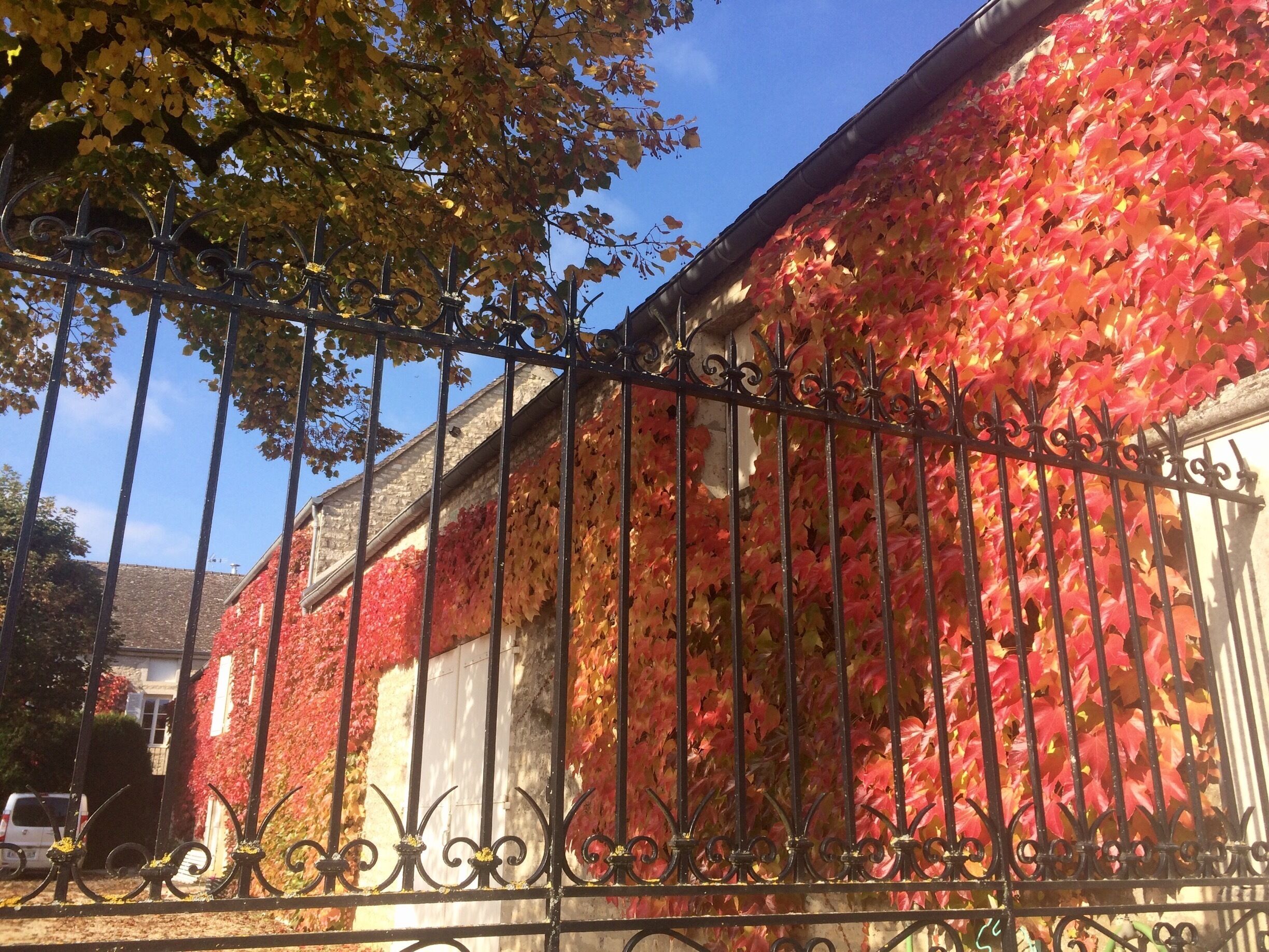 Lovely September colours in Burgundy 🇫🇷 🍂🍄🐌☀️