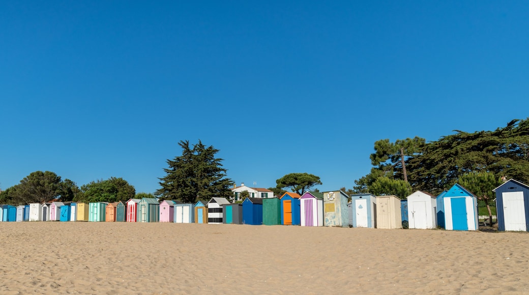 A row of colorful beach huts on a sandy beach with trees in the background.