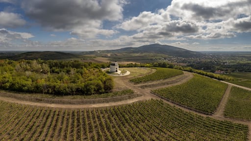 Saint Theresa chapel in Tarcal, Zemplen, Religious building on top of a wine yard in Tokaj wine region, Hungary.