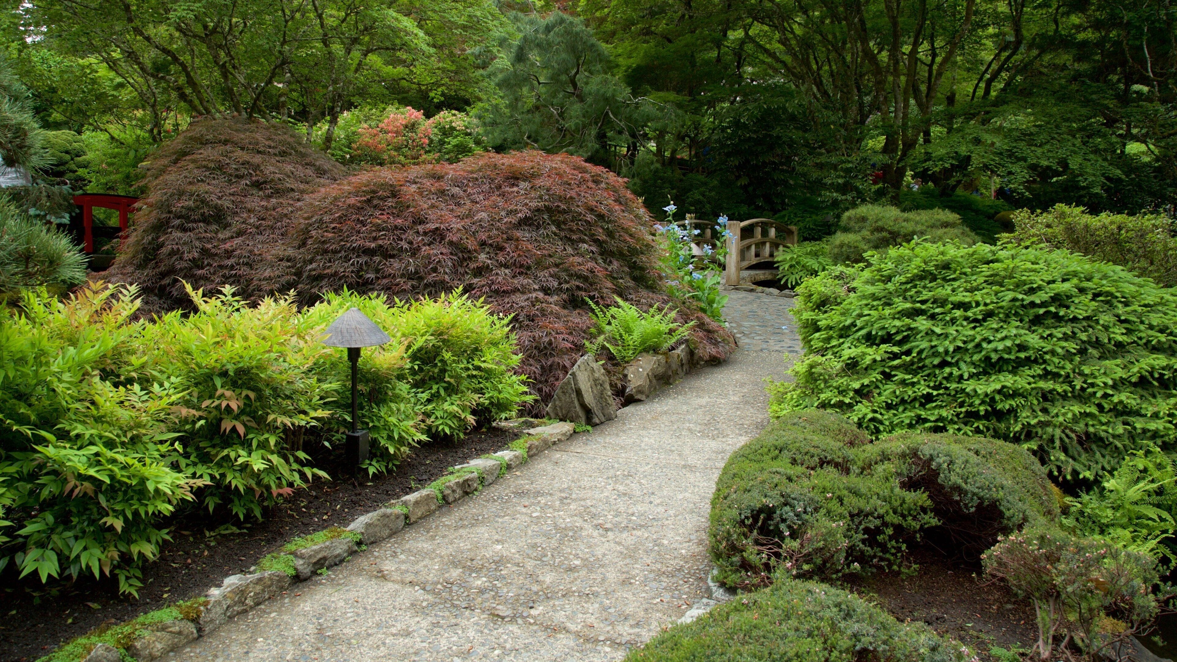 Brentwood Bay featuring a garden