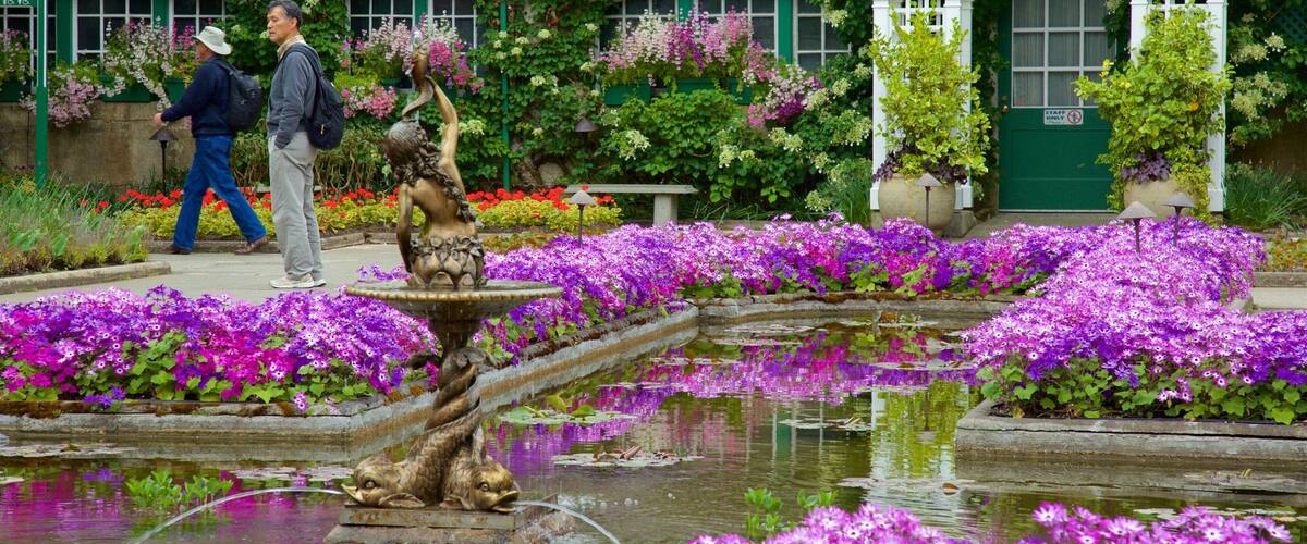 Brentwood Bay showing a fountain and flowers