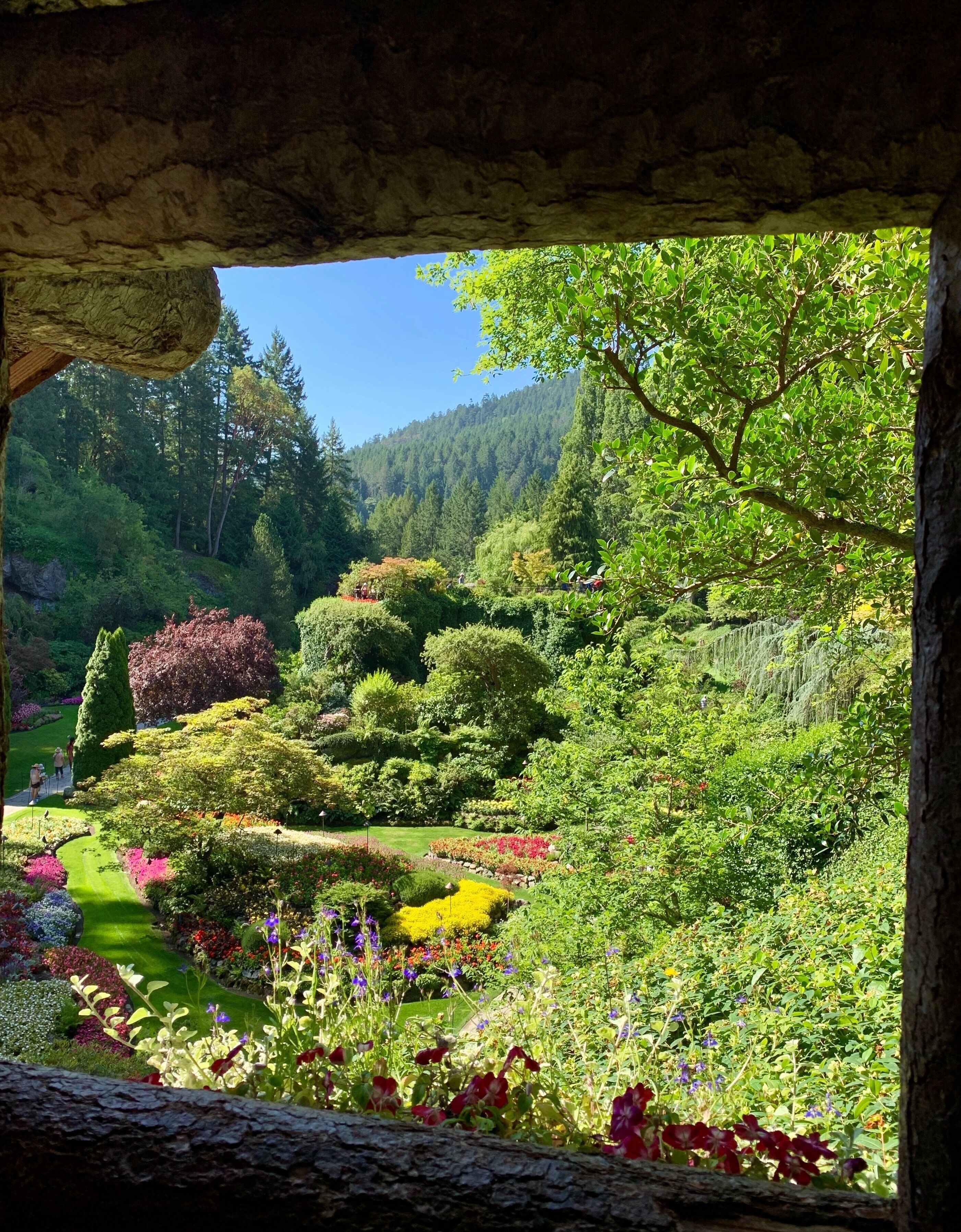 A lush garden with a variety of colorful flowers, neatly trimmed hedges, and a clear view of a forested hillside in the background.