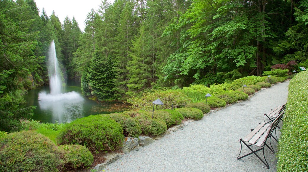 Brentwood Bay which includes a park and a fountain