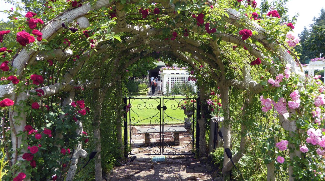 This is the lovely entrance to the Rose Garden.
The Butchart gardens are situated north of Victoria on Vancouver Island. The original Butchart family manufactured Portland cement from the rich limestone deposits here. But as the quarry became depleted Jennie Butchart set about building the gardens that extend to 55 acres and are now a National Historic Site of Canada.
Don't forget to pick up a free guide to the most common plants used in the gardens. Really interesting and helpful.