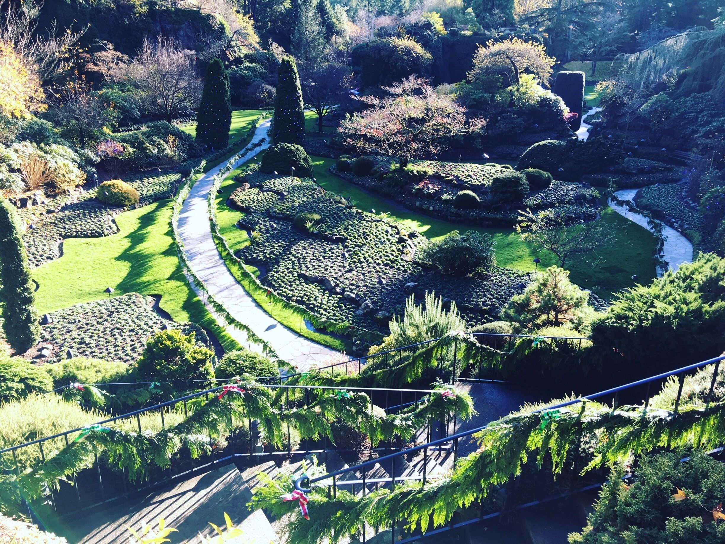 The Sunken garden one of the beautiful lanscape of 22 hectares Butchart Gardens Victoria, BC - Central Saanich. Canada · British Columbia · Vancouver Island 