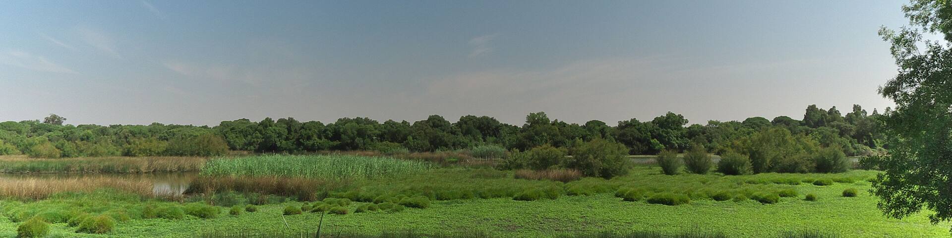 Panorámica estival en el Parque