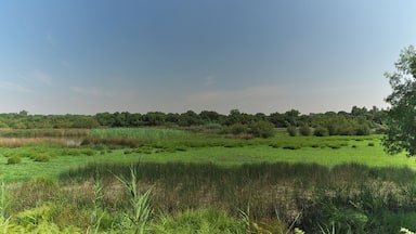 PanorĂĄmica estival en el Parque
