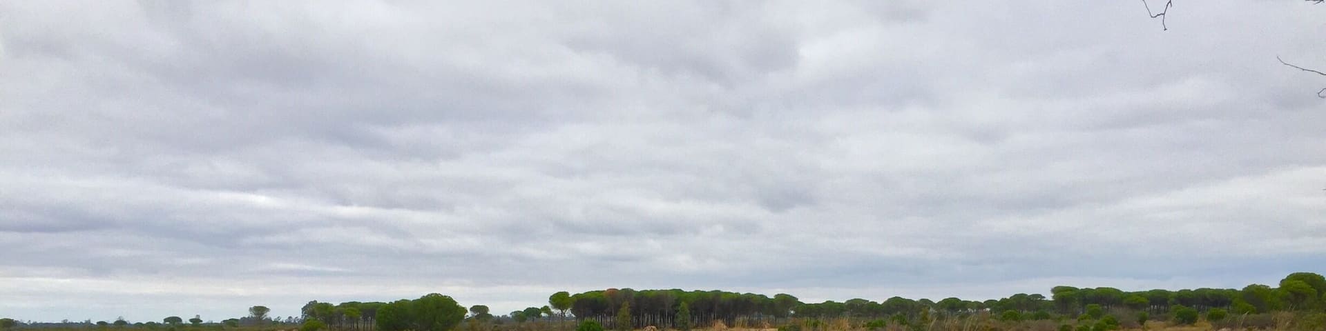 Lakes (lagunas) in the Parque Nacional de Doñana. AndalucĂa. Spain