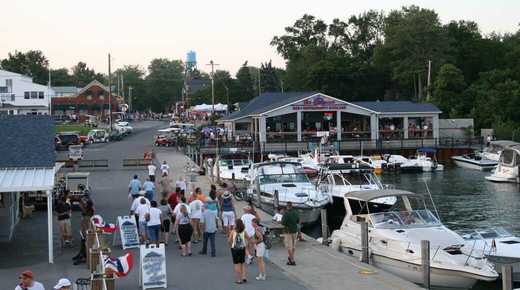 Sandusky ofreciendo escenas urbanas, una bahía o puerto y una ciudad costera