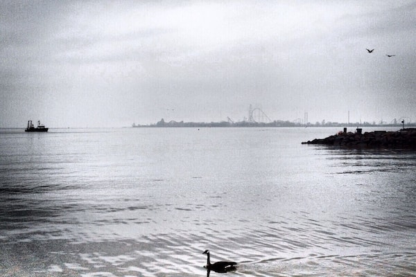 Situated along the shores of Sandusky Bay, it's a great place to sit and watch sunsets or Cedar Point Fireworks while large freighters cruise through the bay's shipping channel.