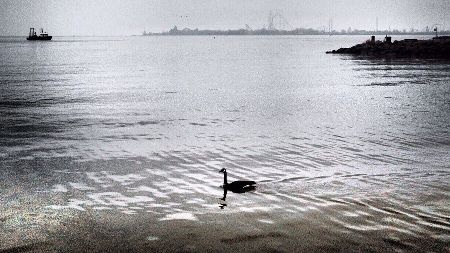 Situated along the shores of Sandusky Bay, it's a great place to sit and watch sunsets or Cedar Point Fireworks while large freighters cruise through the bay's shipping channel.