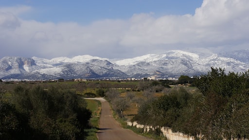 Nieve Mallorca
