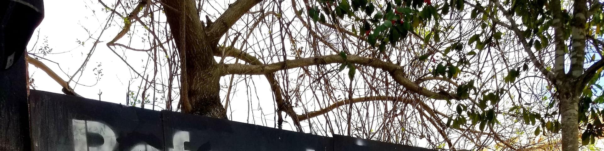 April 2018
🧡🧡🧡