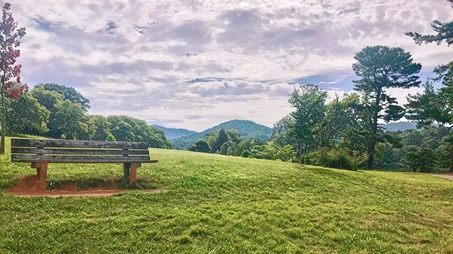Morning walk in the Beaver Lake park..