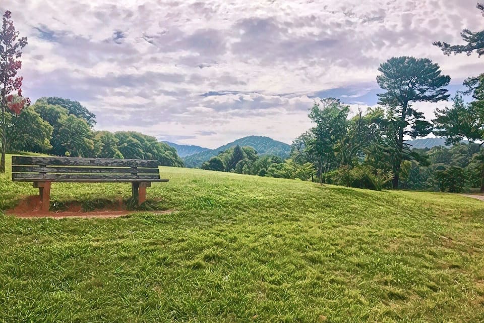 A grassy hill with a wooden bench, trees, and mountains in the distance.