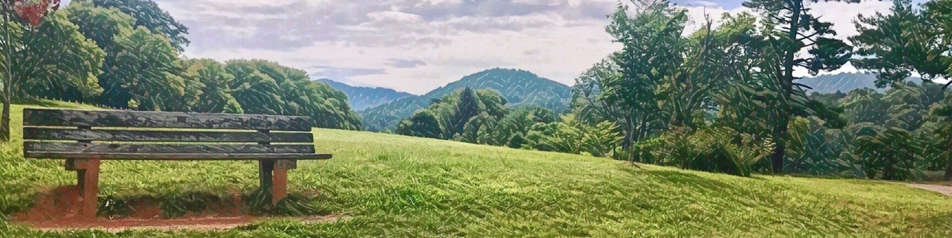 Morning walk in the Beaver Lake park..