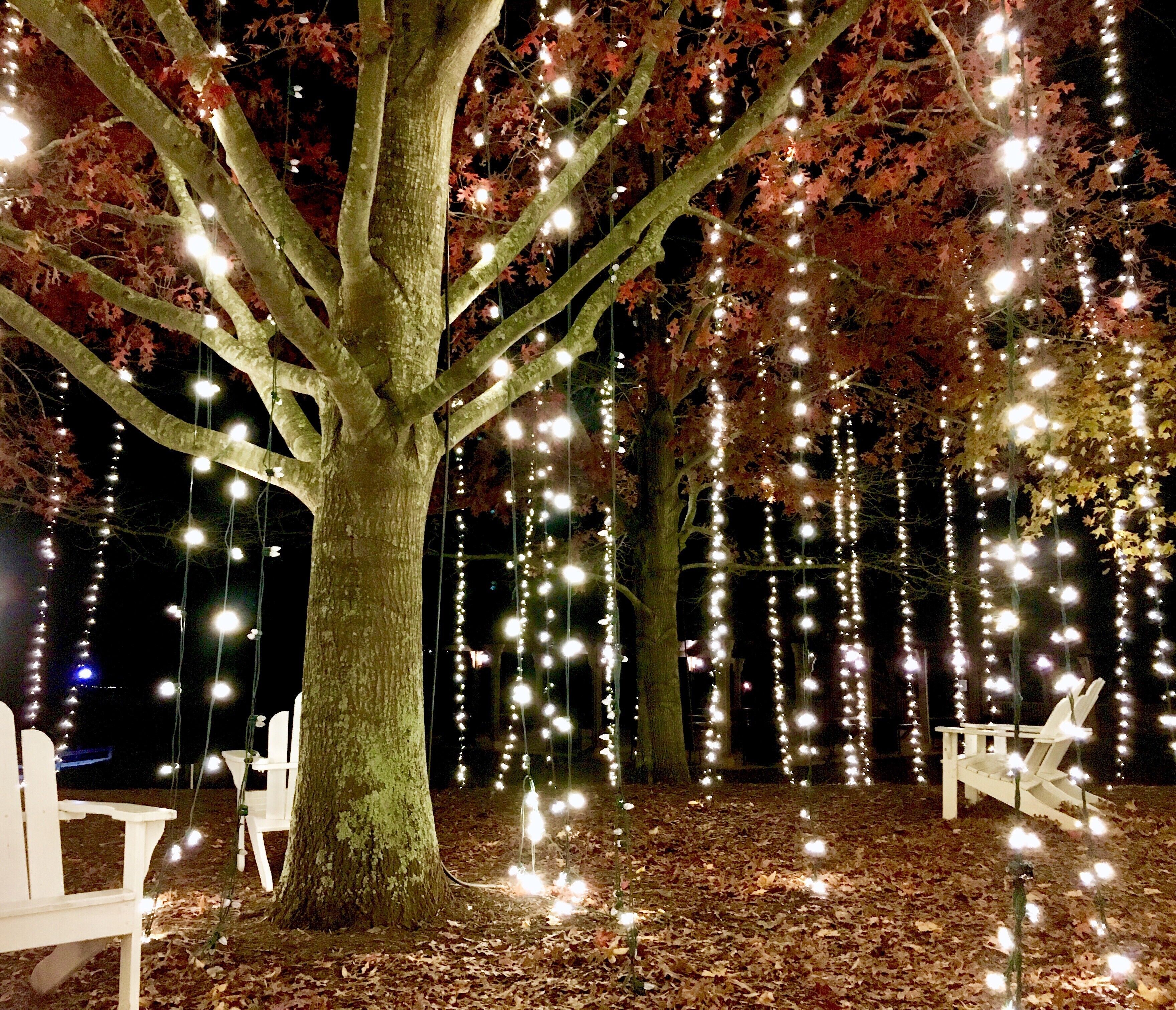 Part of the sprawling Biltmore Estate in Asheville, NC, Antler Hill Village is a quaint collection of shops, dining, and exhibits. Here you can also do a tour of the Biltmore's winery and tasting room. While the Biltmore house itself is a beautiful and festive force to be reckoned with during with Christmas Holiday, this village experience is nothing short of magical after dark. #LifeAtExpediaGroup 