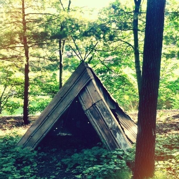 University of North Carolina at Asheville