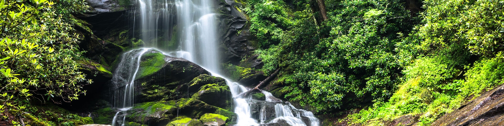 Uma cascata despencando sobre pedras em uma floresta verdejante.