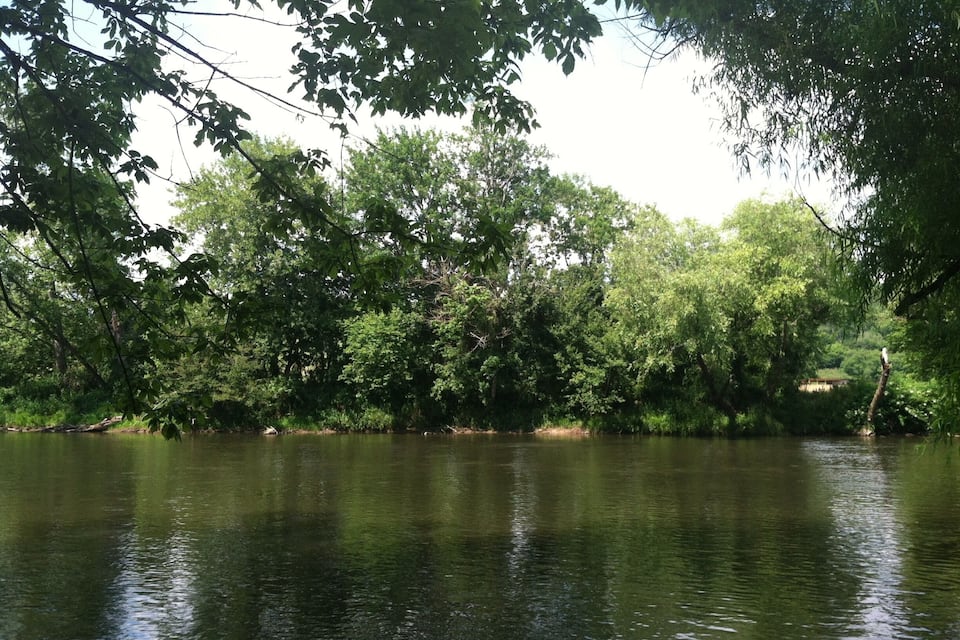 A calm river surrounded by dense green foliage and trees.