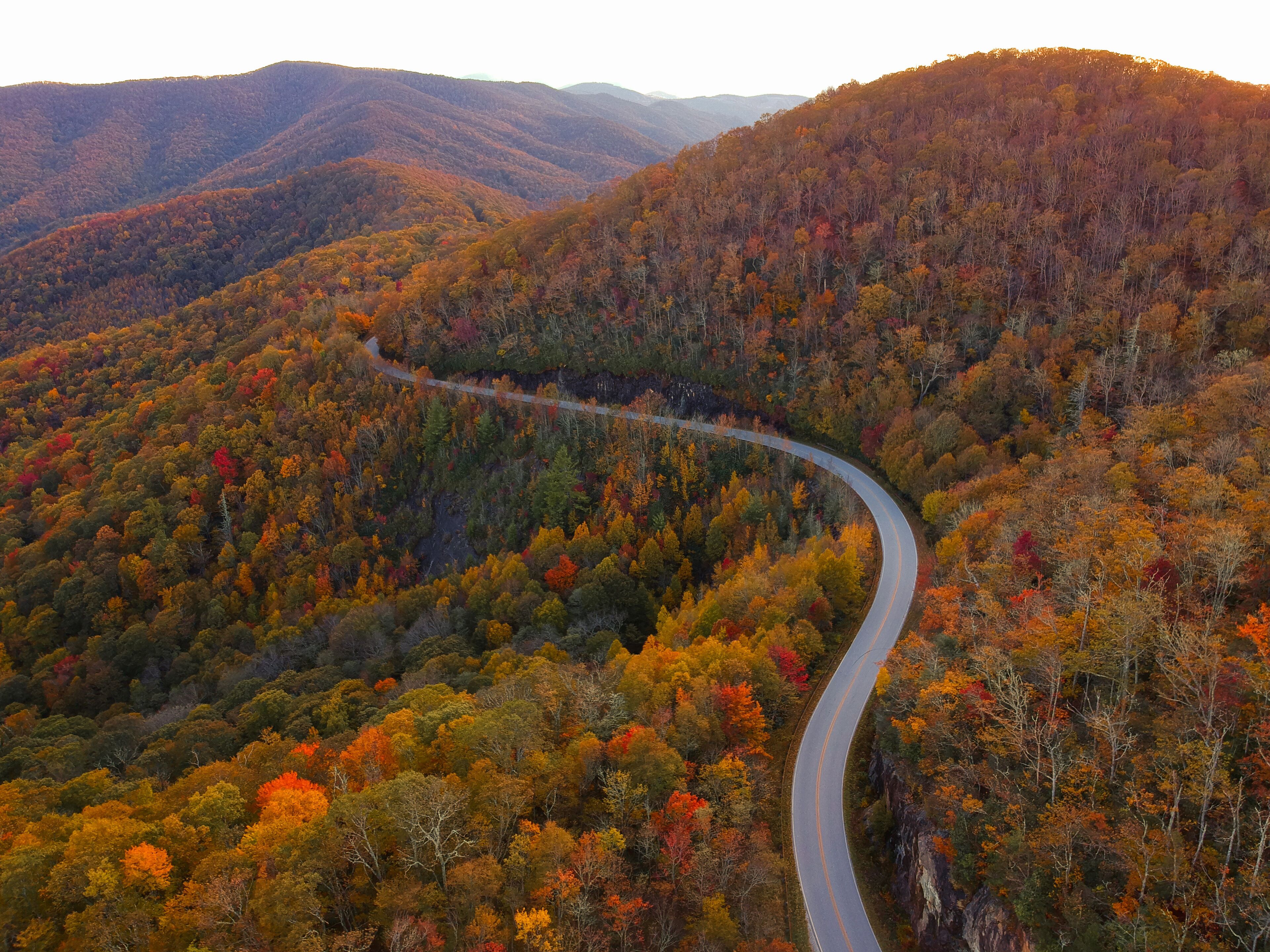 A winding road through a forested mountain range with autumn foliage.