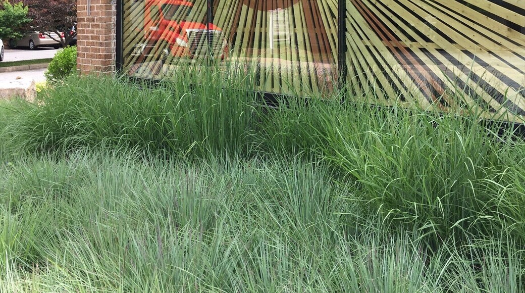 I mean, who wouldn't stop here?