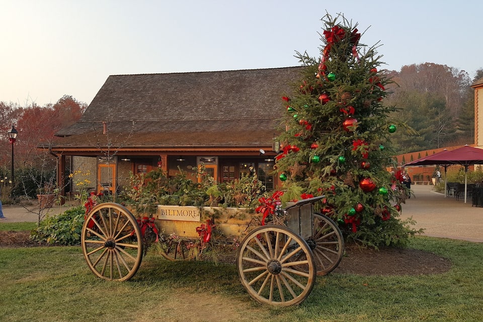 A decorated Christmas tree in front of a building with a sign reading "BILTMORE."